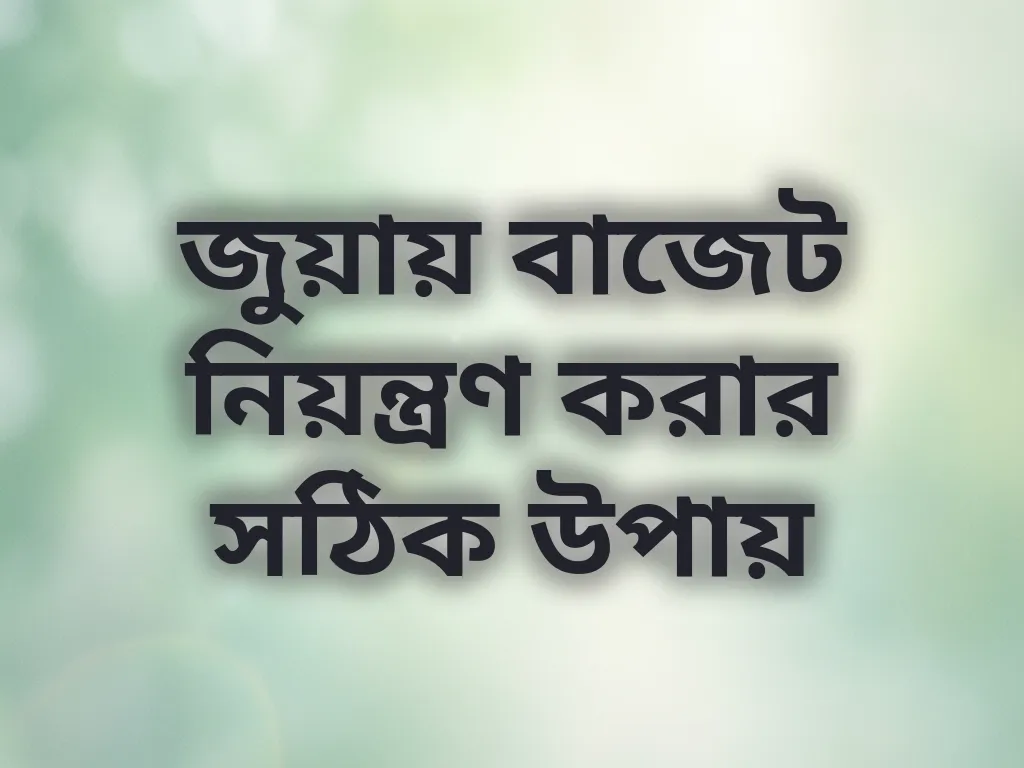 জুয়ায় বাজেট নিয়ন্ত্রণ করার সঠিক উপায়